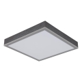 Globo - LED Laevalgusti LED/12W/230V 3000K 30x30 cm