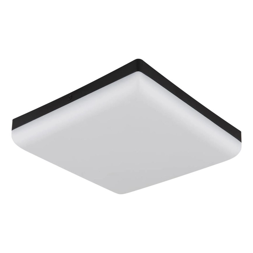 Globo - LED Laevalgusti LED/12W/230V 4000K 22x22 cm must