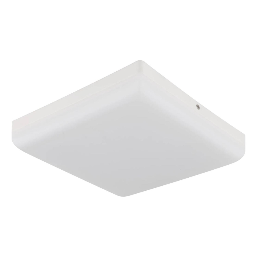 Globo - LED Laevalgusti LED/12W/230V 4000K 22x22 cm valge