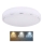 Globo - LED Laevalgusti LED/24W/230V 3000/4000/6000K d. 37,5 cm