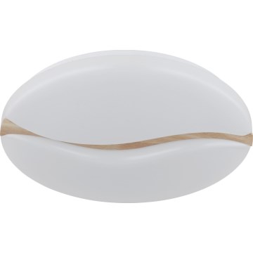 Globo - LED Laevalgusti LED/24W/230V 3000/4200/6000K d. 33 cm