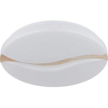 Globo - LED Laevalgusti LED/24W/230V 3000/4200/6000K d. 39 cm