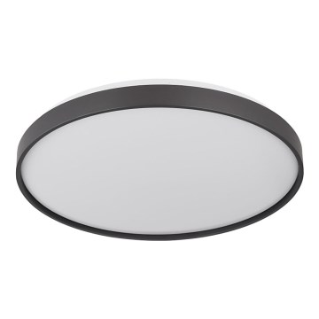 Globo - LED Laevalgusti LED/24W/230V