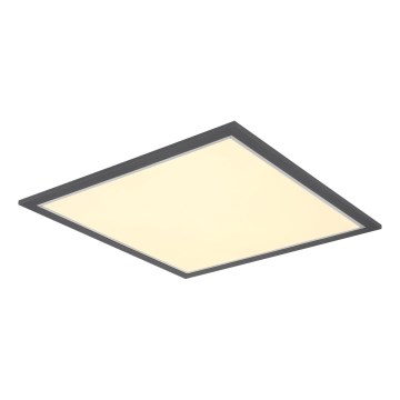 Globo - LED Laevalgusti LED/24W/230V