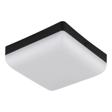 Globo - LED Laevalgusti LED/8W/230V 4000K 12x12 cm must