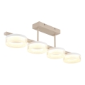 Globo - LED lakke kinnitatav laelamp LED/24W/230V 3000K