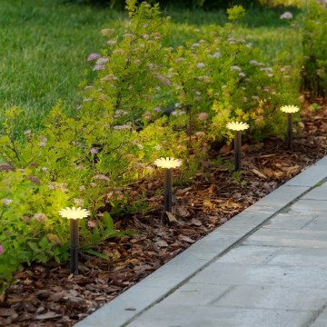 Globo - LED päikesepaneeliga valguskett 5xLED/3V IP44 300 mAh 2,2 m õitega