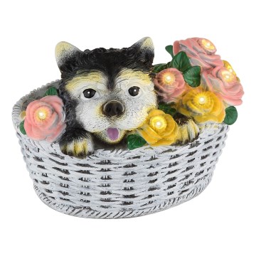 Globo - LED päikesevalgusti LED/1,2V IP44 300 mAh pes