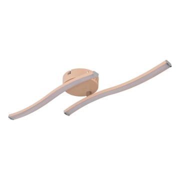 Globo - LED Pinnale kinnitatav lühter LED/12W/230V 3000K oranž