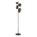 Globo - LED põrandalamp 6xG9/3,5W/230V