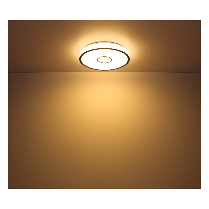 Globo - LED RGB Hämardatav valgusti vannituppa LED/30W/230V IP44 Wi-Fi Tuya + kaugjuhtimispult