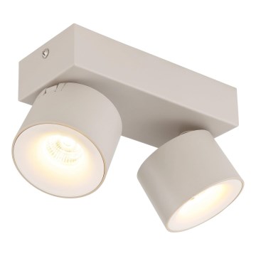 Globo - LED suunavalgusti 2xLED/6W/230V