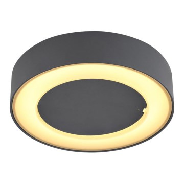 Globo - LED Väli laevalgusti LED/12W/230V IP54