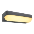 Globo - LED Väli seinavalgusti LED/10W/230V IP54