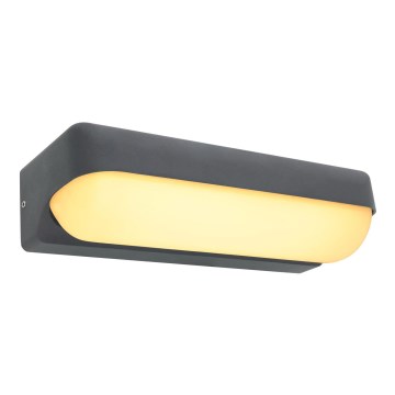 Globo - LED Väli seinavalgusti LED/10W/230V IP54