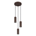Globo - Lühter 3xGU10/25W/230V pronks