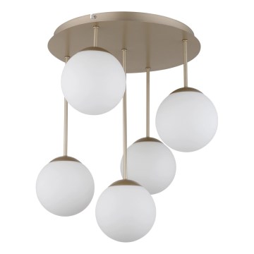 Globo - Pinnapealne lühter 5xE14/25W/230V messing