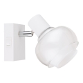 Globo - Seinale paigaldatav punktvalgusti 1xE14/40W/230V valge