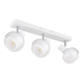 Globo - Suunatav valgusti 3xE14/40W/230V valge