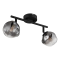 Globo - suunav valgusti 2xG9/5W/230V