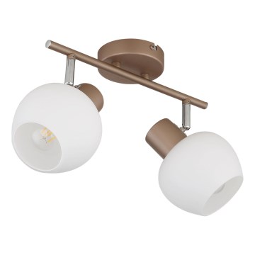 Globo - Suunavalgusti 2xE27/40W/230V