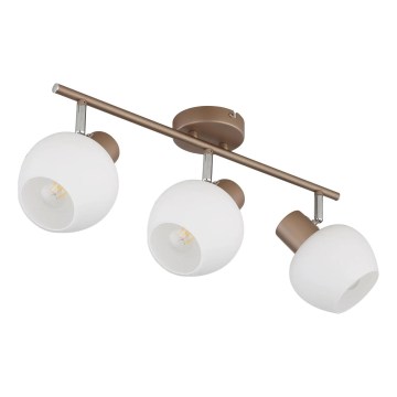 Globo - Suunavalgusti 3xE27/40W/230V