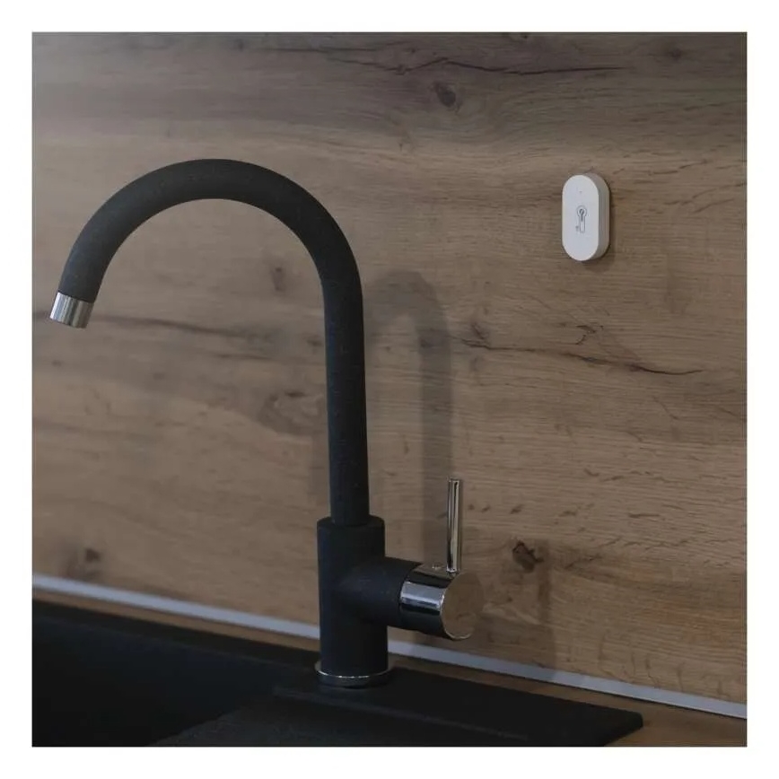 GoSmart digitaalne traadita termomeeter 1×CR2032