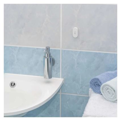 GoSmart digitaalne traadita termomeeter 1×CR2032