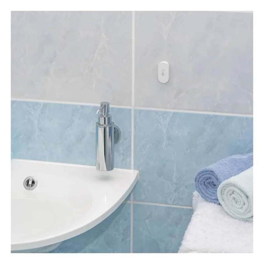 GoSmart digitaalne traadita termomeeter 1×CR2032