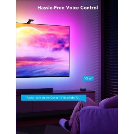 Govee - DreamView T2 DUAL TV 55-65 SMART LED taustvalgustus RGBIC Wi-Fi + kaugjuhtimispult