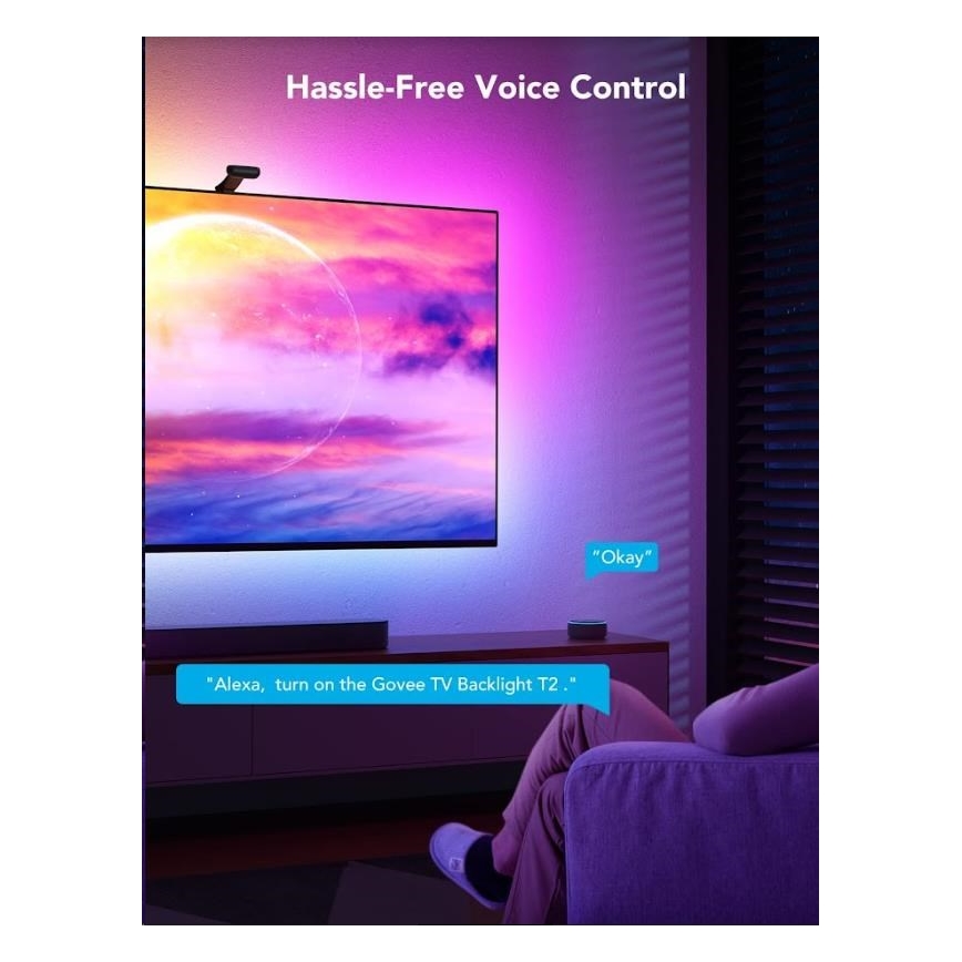 Govee - DreamView T2 DUAL TV 55-65 SMART LED taustvalgustus RGBIC Wi-Fi + kaugjuhtimispult
