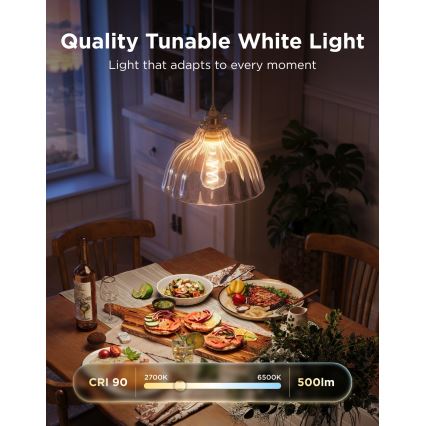 Govee - komplekt 2xLED RGBWW hämardatav pirn Smart MATTER ST64 E27/5W/230V 2700-6500K Wi-Fi