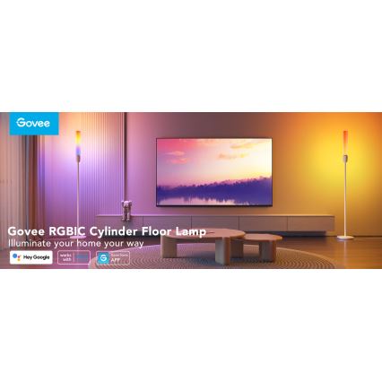 Govee - LED Hämardatav põrandalamp CYLINDER SMART RGBICWW 2200-6500K