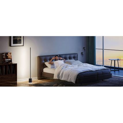Govee - LED Põrandalamp kõlariga Pro RGBICWW 2200-6500K Wi-Fi + kaugjuhtimispult