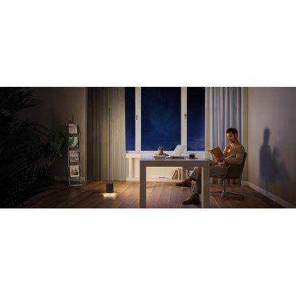 Govee - LED Põrandalamp kõlariga Pro RGBICWW 2200-6500K Wi-Fi + kaugjuhtimispult