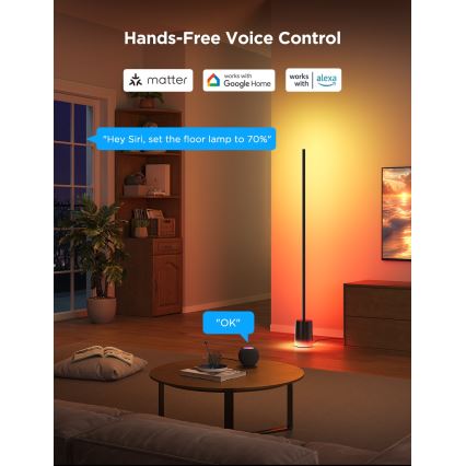 Govee - LED Põrandalamp Smart MATTER LED RGBICWW 2200-6500K Wi-Fi + kaugjuhtimispult