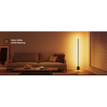 Govee - LED Põrandalamp Smart MATTER LED RGBICWW 2200-6500K Wi-Fi + kaugjuhtimispult