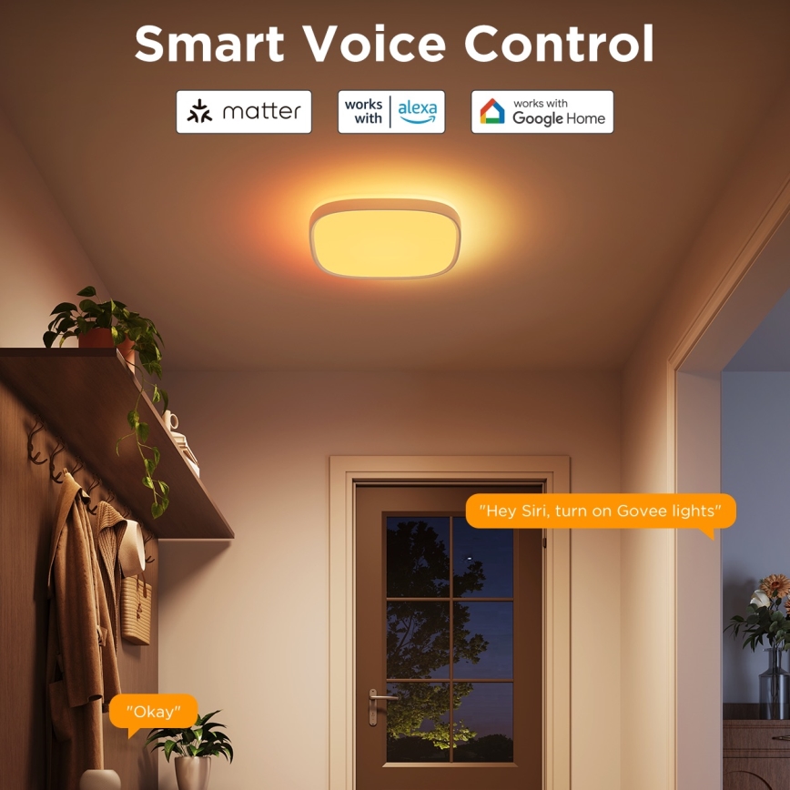 Govee - LED RGBIC Hämardatav laevalgusti LED/24W/230V 2700-6500K Wi-Fi