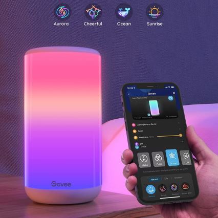 Govee - LED RGBIC Hämardatav laualamp AURA 2 2200-6500K Wi-Fi Matter