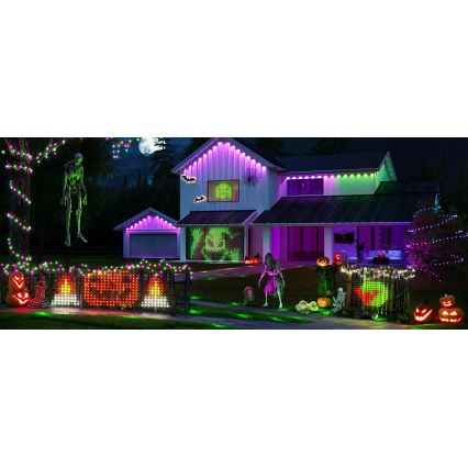 Govee - LED RGBIC Välisvalgusvõrk 143x85cm Wi-Fi Matter IP65