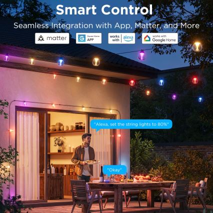 Govee - LED RGBICW Hämardatav väli Dekoratiivne kett LED/24W/230V IP67 2700-6500K Wi-Fi