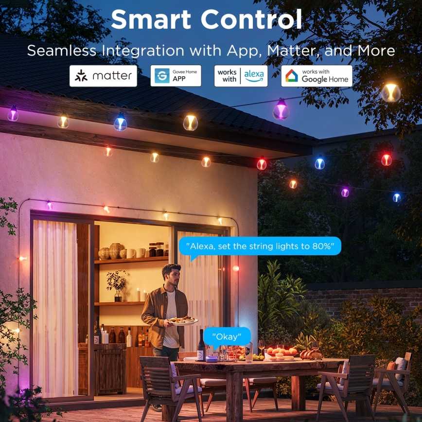 Govee - LED RGBICW Hämardatav väli Dekoratiivne kett LED/24W/230V IP67 2700-6500K Wi-Fi