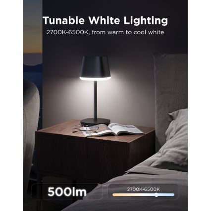 Govee - LED RGBICWW Hämardatav laualamp CLASSIC MATTER LED/10W/5V 4800mAh Wi-Fi