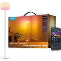 Govee - LED RGBICWW Hämardatav põrandalamp LANTERN MATTER LED/24W/230V Wi-Fi 160 cm