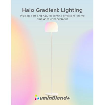 Govee - LED RGBICWW Hämardatav põrandalamp LANTERN MATTER LED/24W/230V Wi-Fi 160 cm