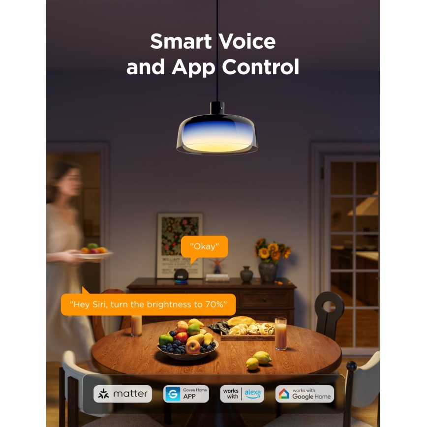 Govee - LED RGBICWW hämardatav rippvalgusti riputuskaabliga LED/21W/230V Matter Wi‑Fi