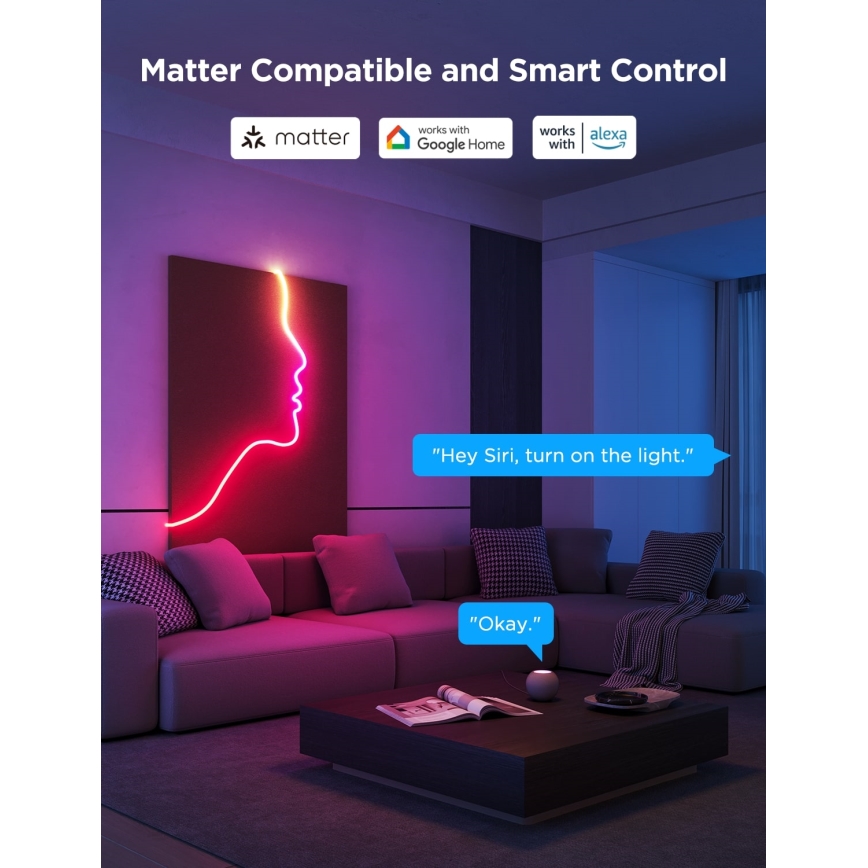 Govee - Neon 2 MATTER paindlik LED Valgusriba 3m RGBIC Wi-Fi IP67