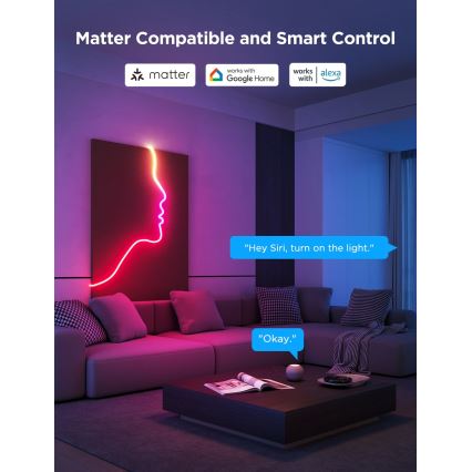 Govee - Neon 2 MATTER paindlik LED Valgusriba 5m RGBIC Wi-Fi IP67