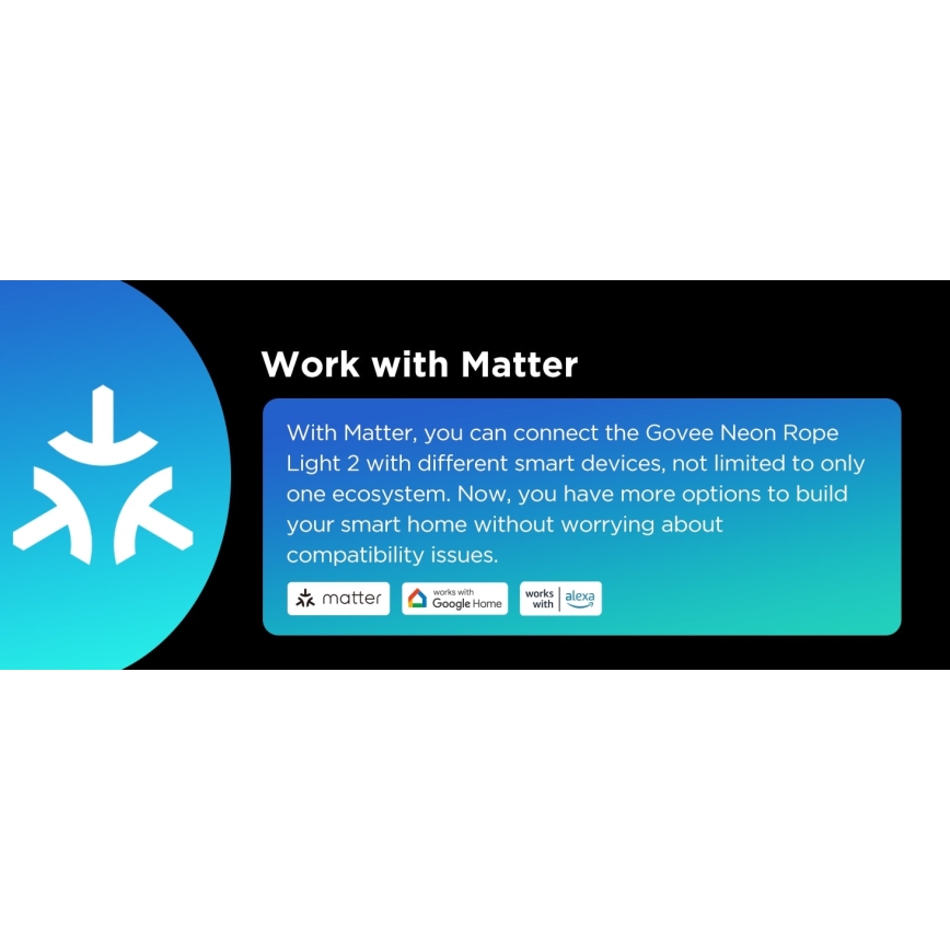 Govee - Neon 2 MATTER paindlik LED Valgusriba 5m RGBIC Wi-Fi IP67