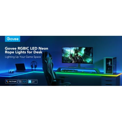 Govee - Neon LED laua taustvalgustus 3m RGBIC Wi-Fi